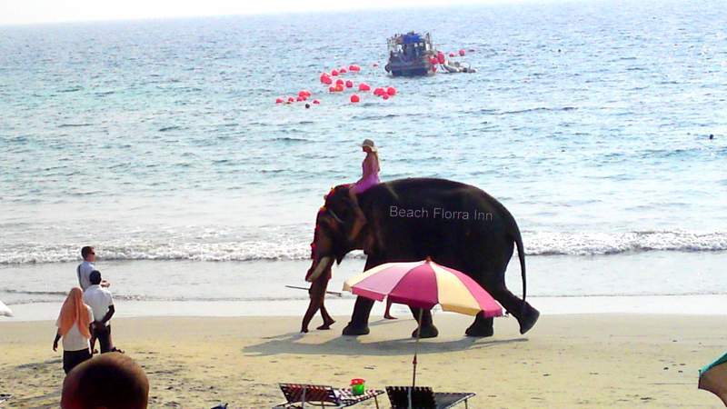 Kovalam Beach Enjoyments